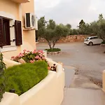 Berdoussis إيلافونيسوس