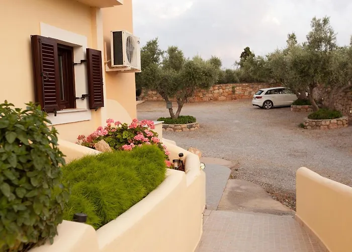 Berdoussis إيلافونيسوس